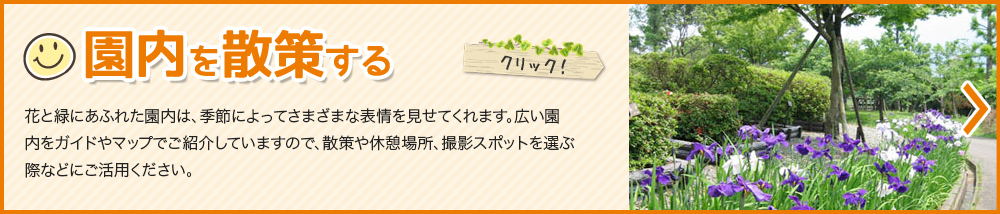 園内を散策する