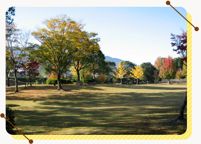 緑の癒しを全身で感じる広大な敷地