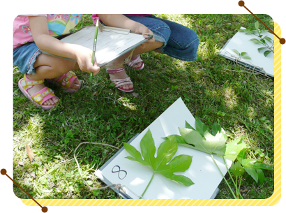 ご家族皆様で気軽に自然を楽しめる