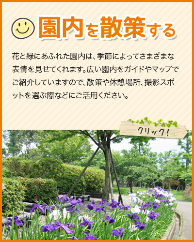 スマホサイト:園内を散策する