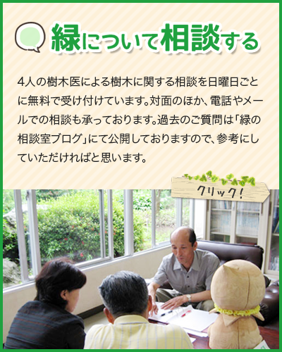 スマホサイト:緑について相談する