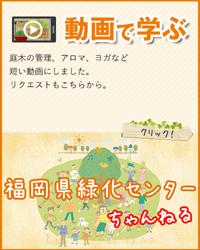 スマホサイト：動画で学ぶ