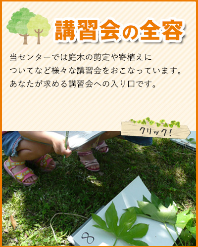 スマホサイト：講習会の全容