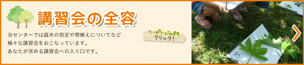 講習会の全容