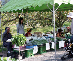 来てみてん山苞の道