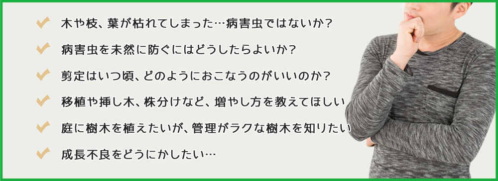 木や枝、葉が枯れてしまった…病害虫ではないか？