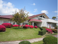 画像：ツツジのピンクと青空とのコントラストが美しい